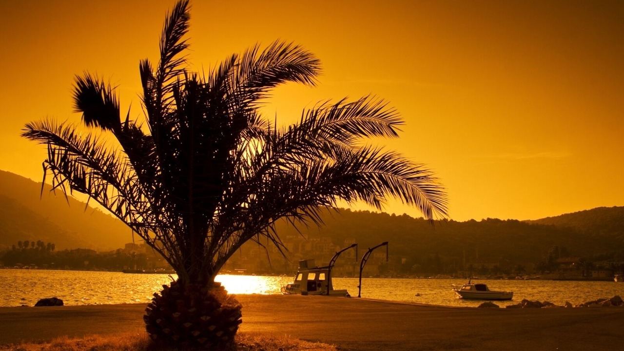 Photo of Others in Cove Rogacic