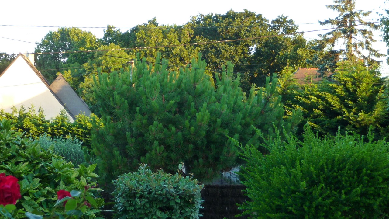Photo of Outdoor in Pornichet