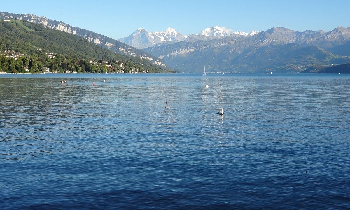 Photo of Others in Frutigen