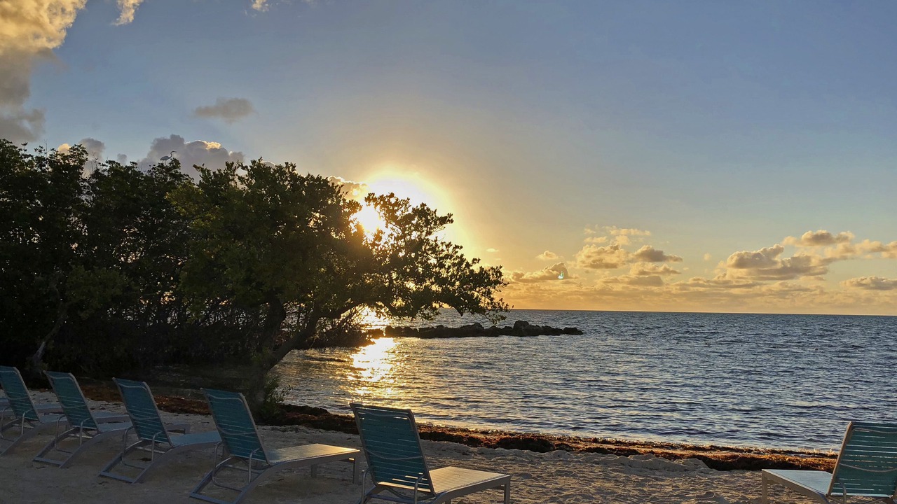 Photo of Others in Tavernier