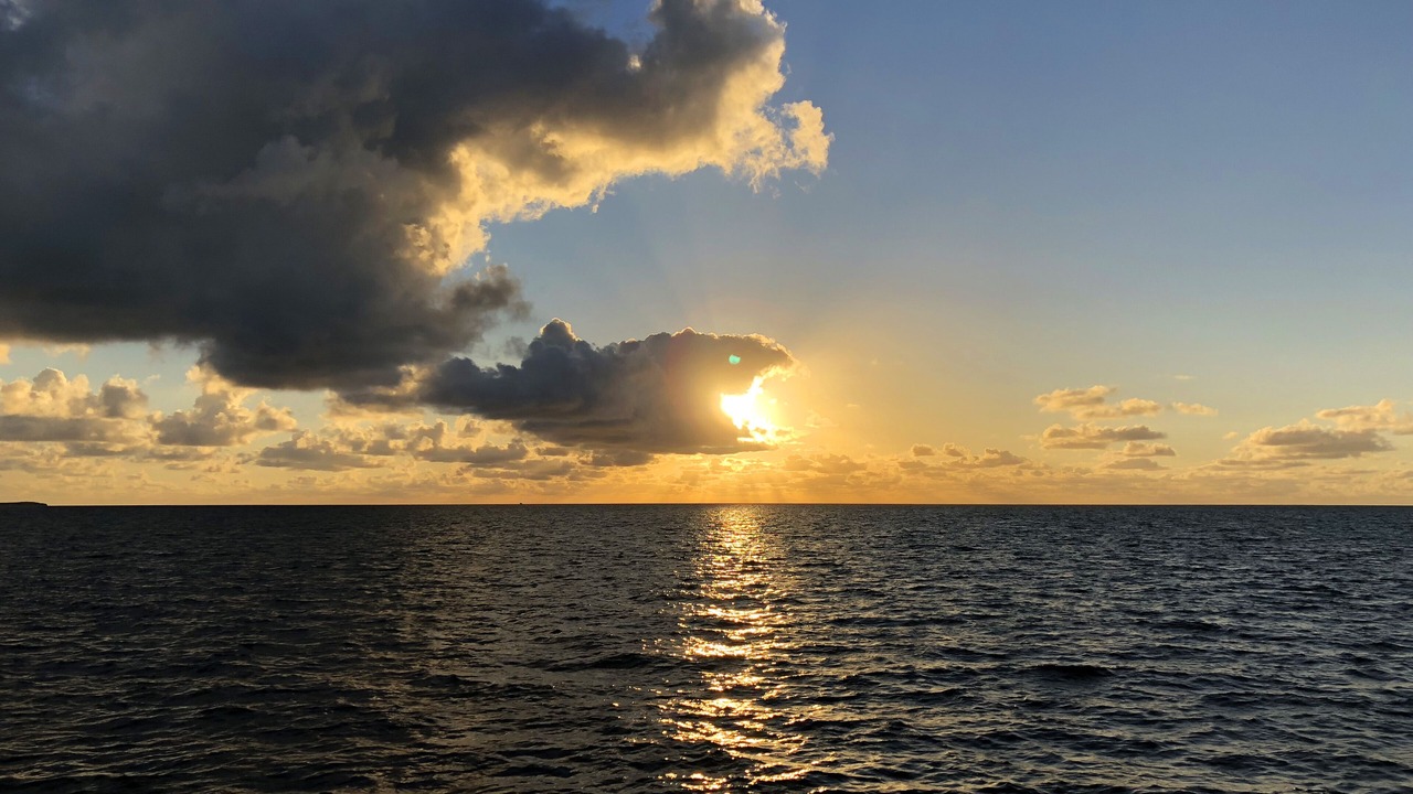 Photo of Others in Tavernier