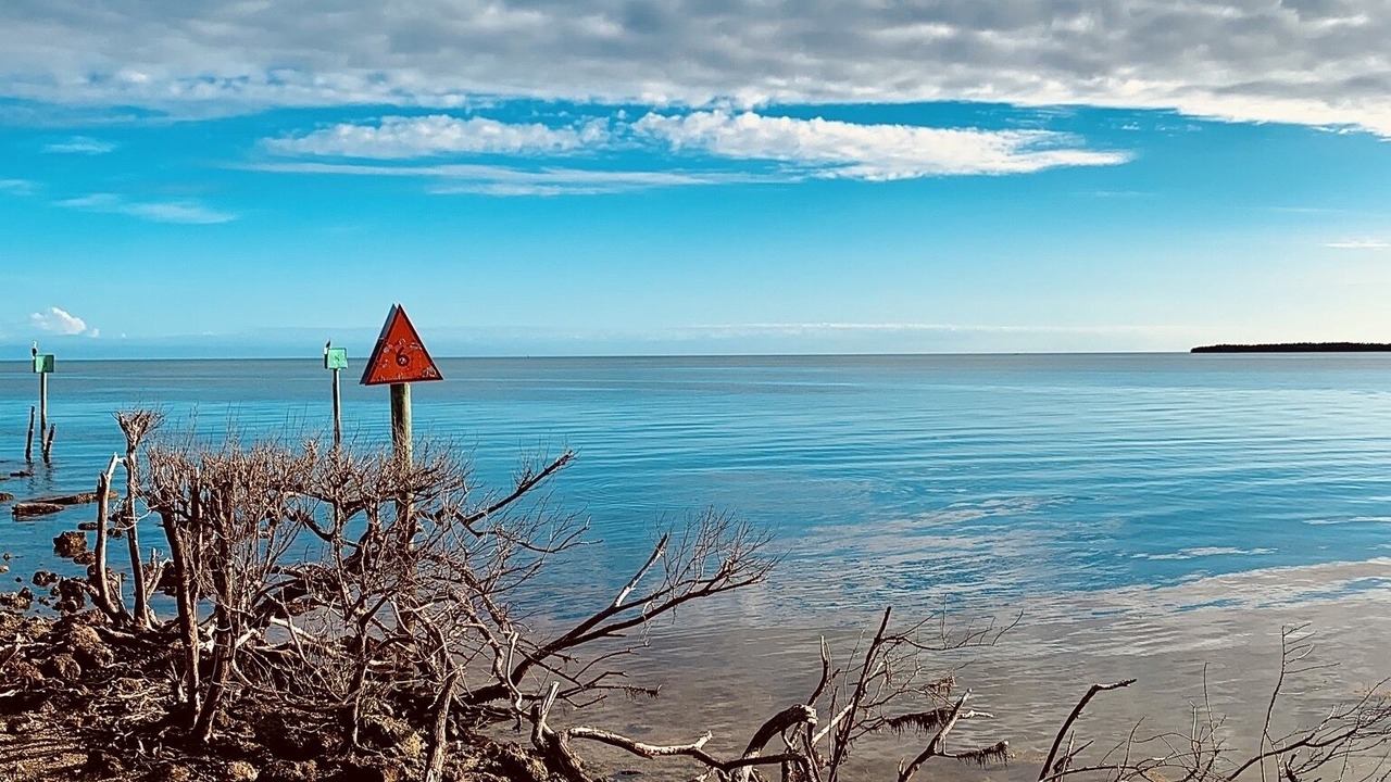 Photo of Others in Tavernier