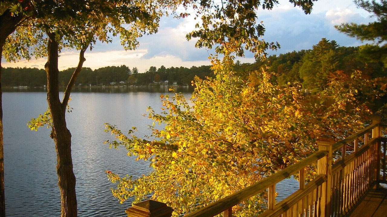 Photo of Others in Rogers