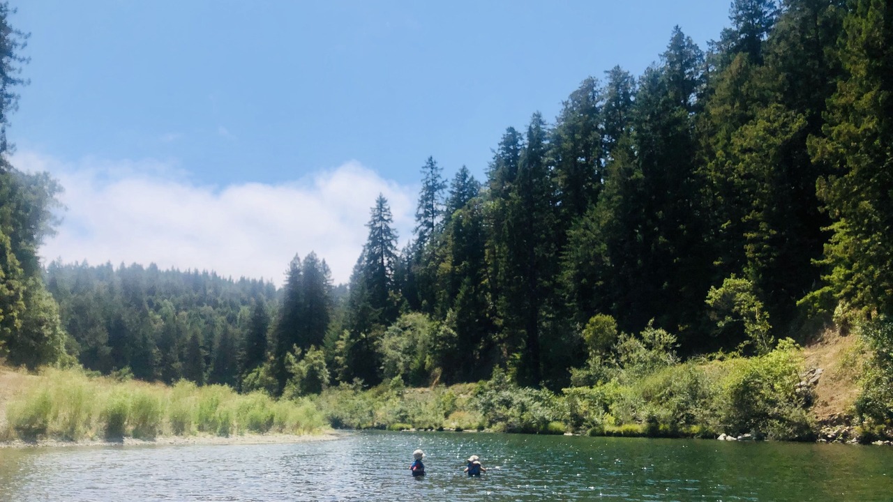 Photo of Others in Sea Ranch