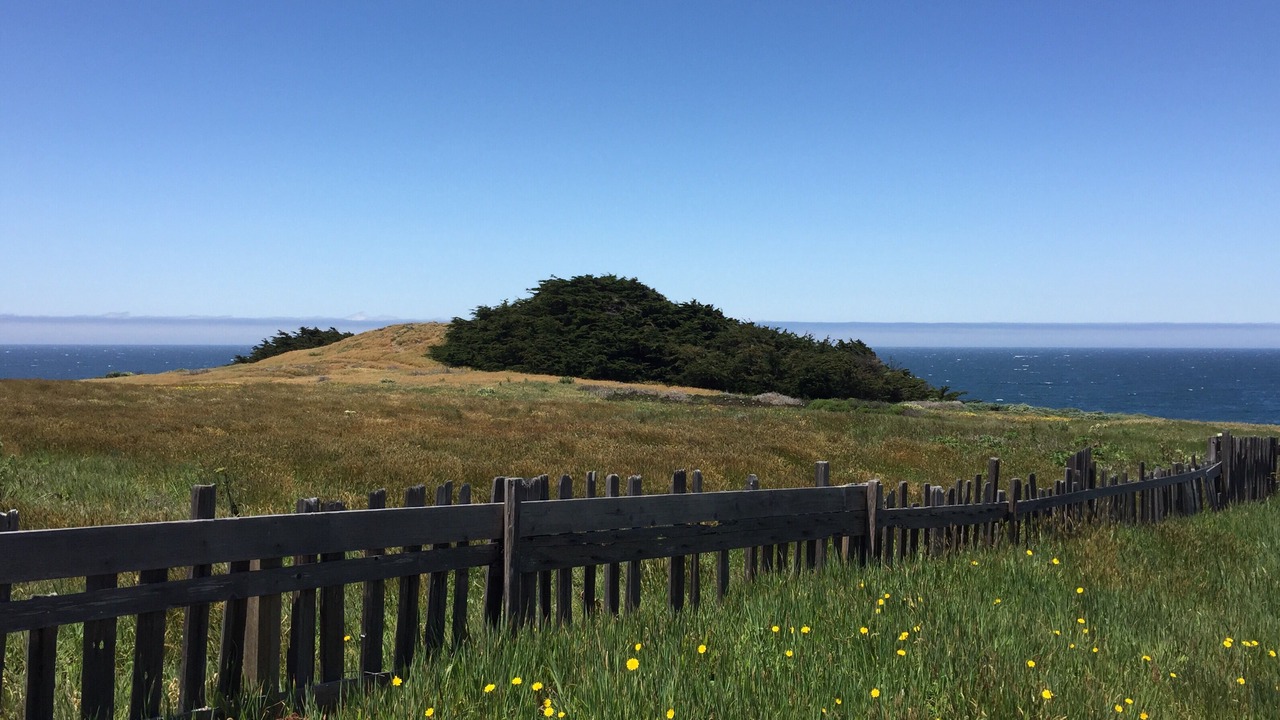 Photo of Others in Sea Ranch