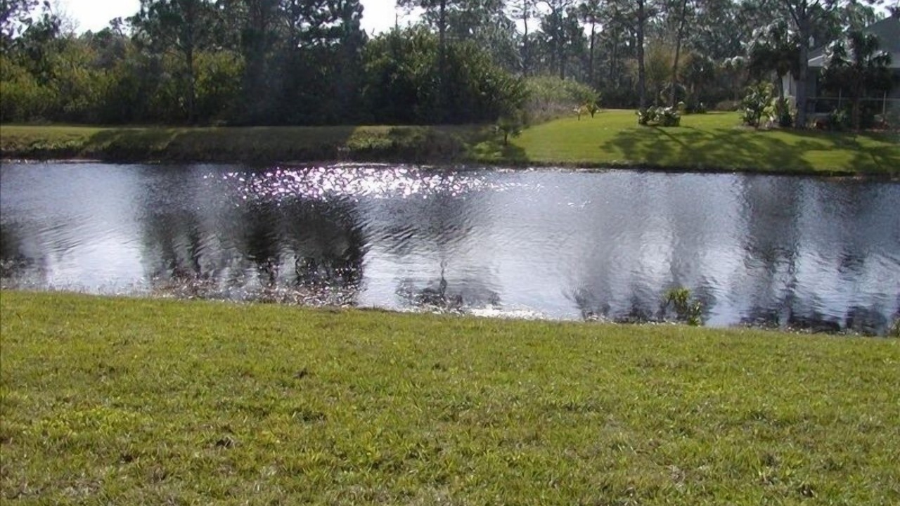 Photo of Outdoor in Pine Valley