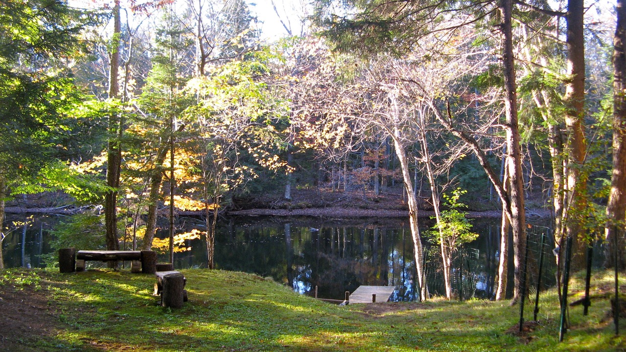 Photo of Outdoor in Town of Webb