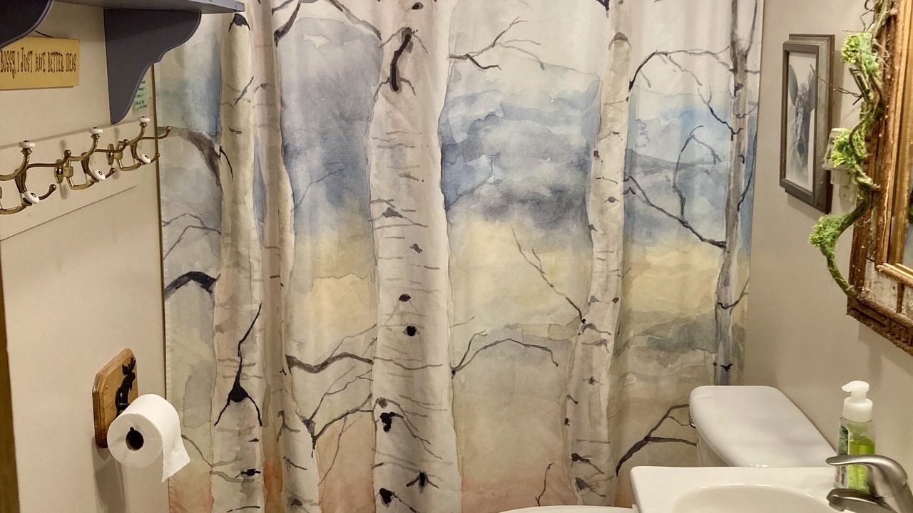 Photo of Bathroom in Town of Webb