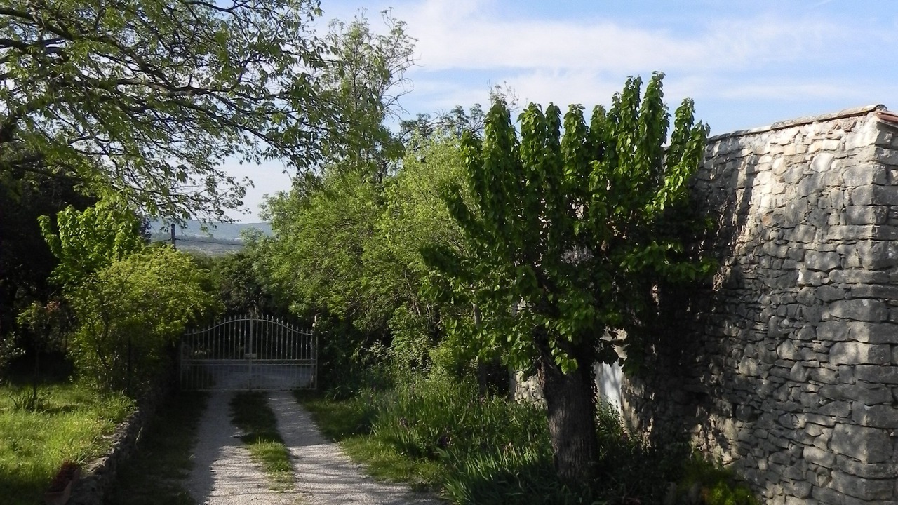 Photo of Outdoor in Notre-Dame-de-Londres