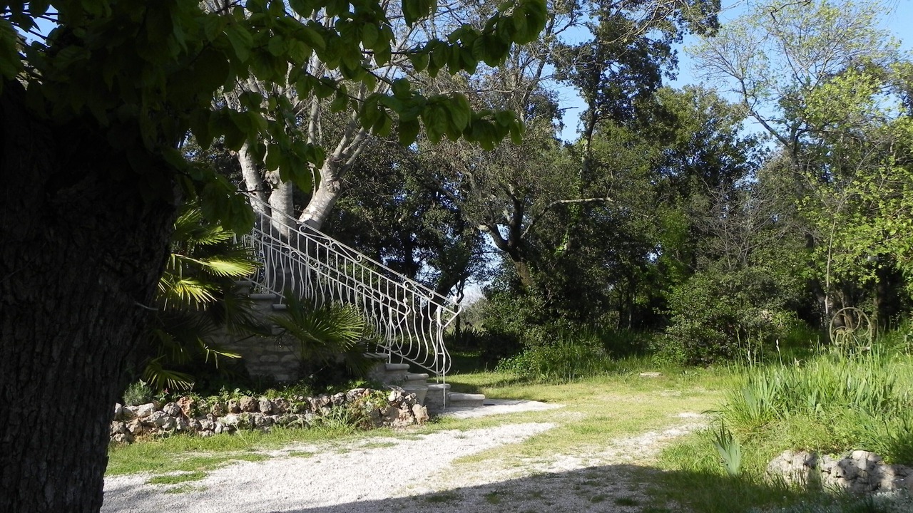 Photo of Outdoor in Notre-Dame-de-Londres