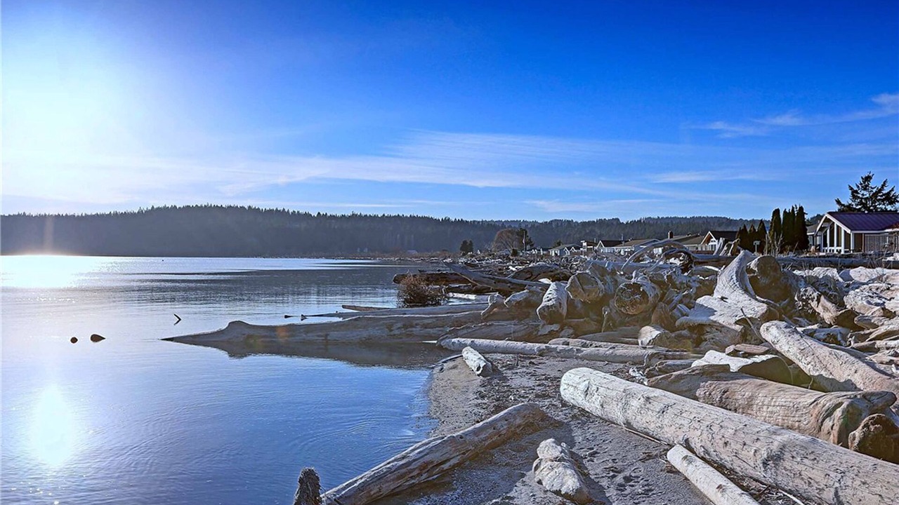 Photo of Others in Camano Island