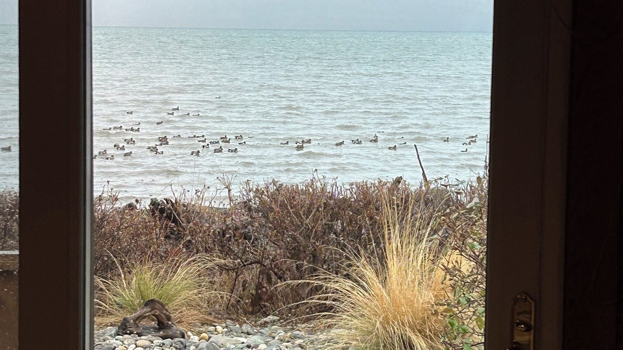 Photo of Others in Camano Island