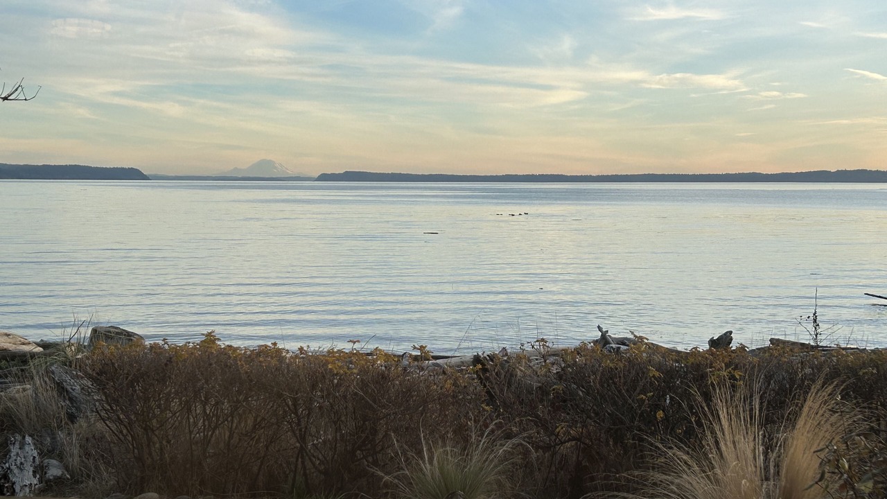Photo of Others in Camano Island