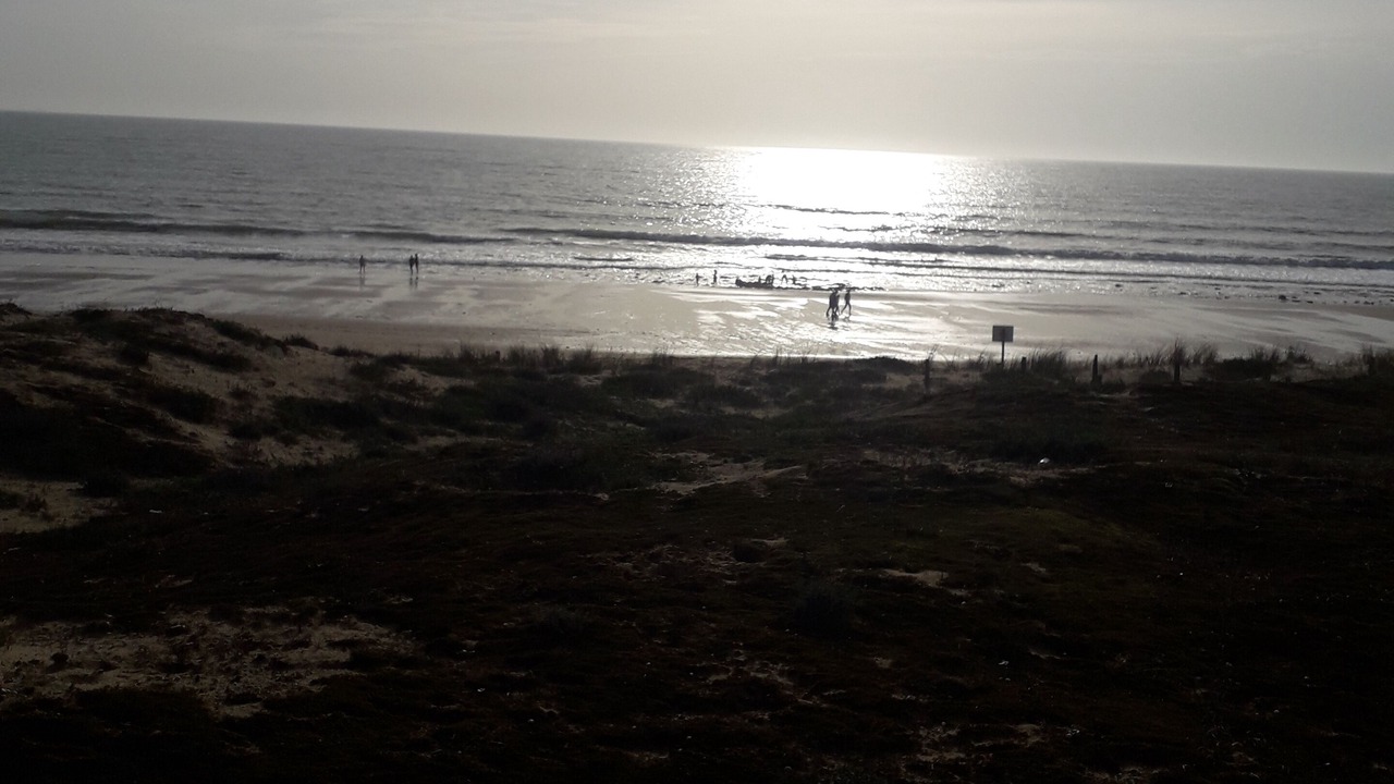 Photo of Others in Longeville-sur-Mer