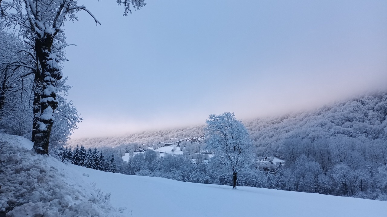 Photo of Others in Arreau