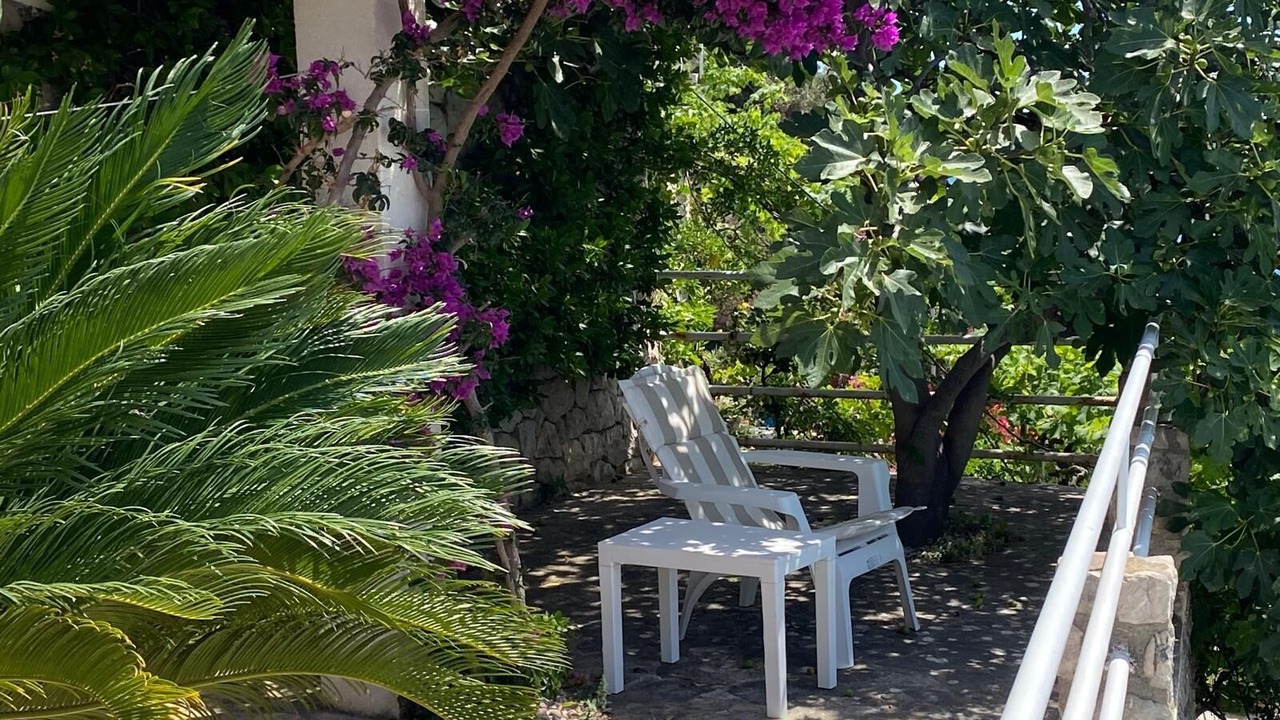 Photo of Outdoor in Stikovica