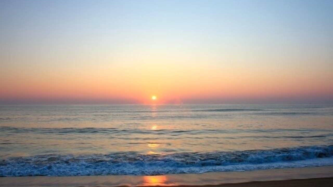 Photo of Others in Hampton