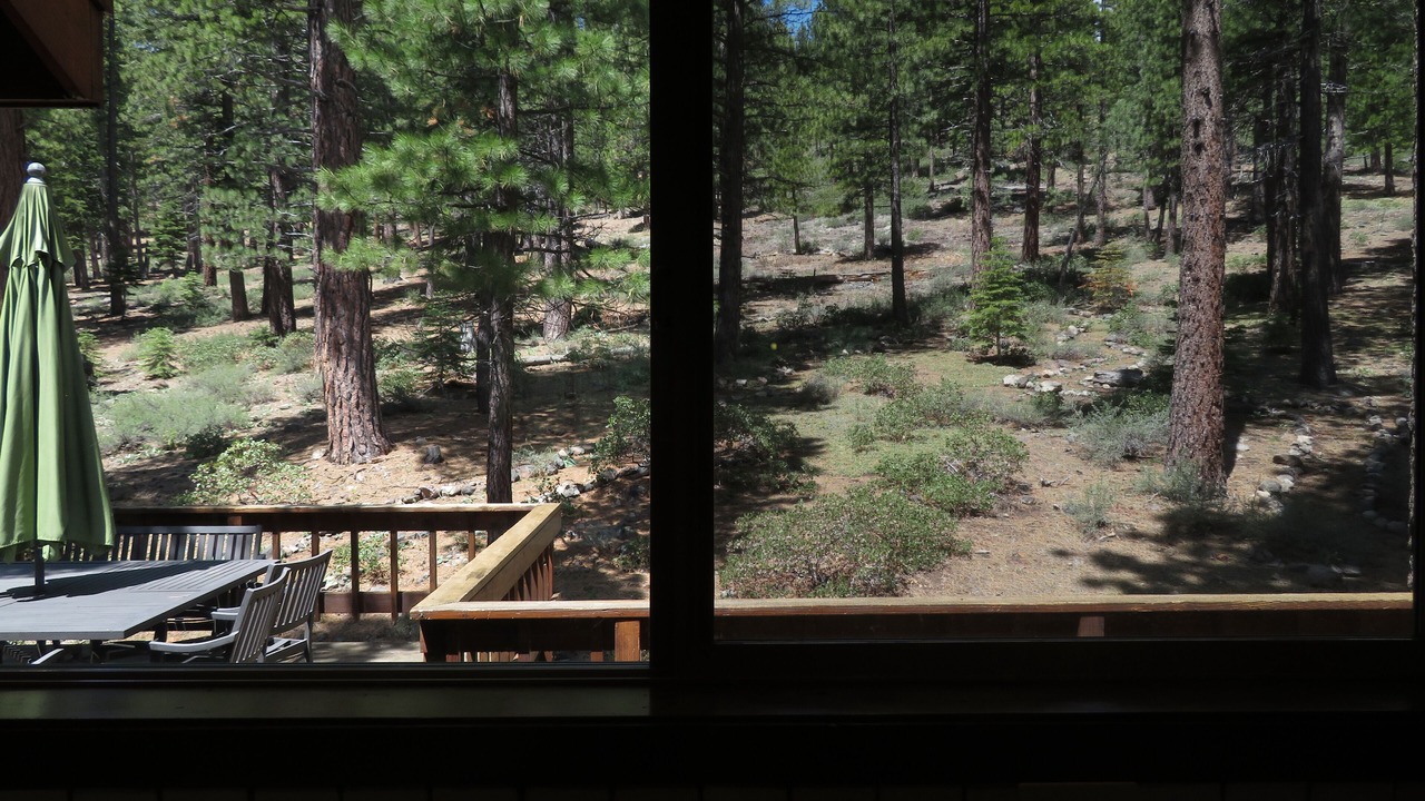 Photo of Others in Truckee