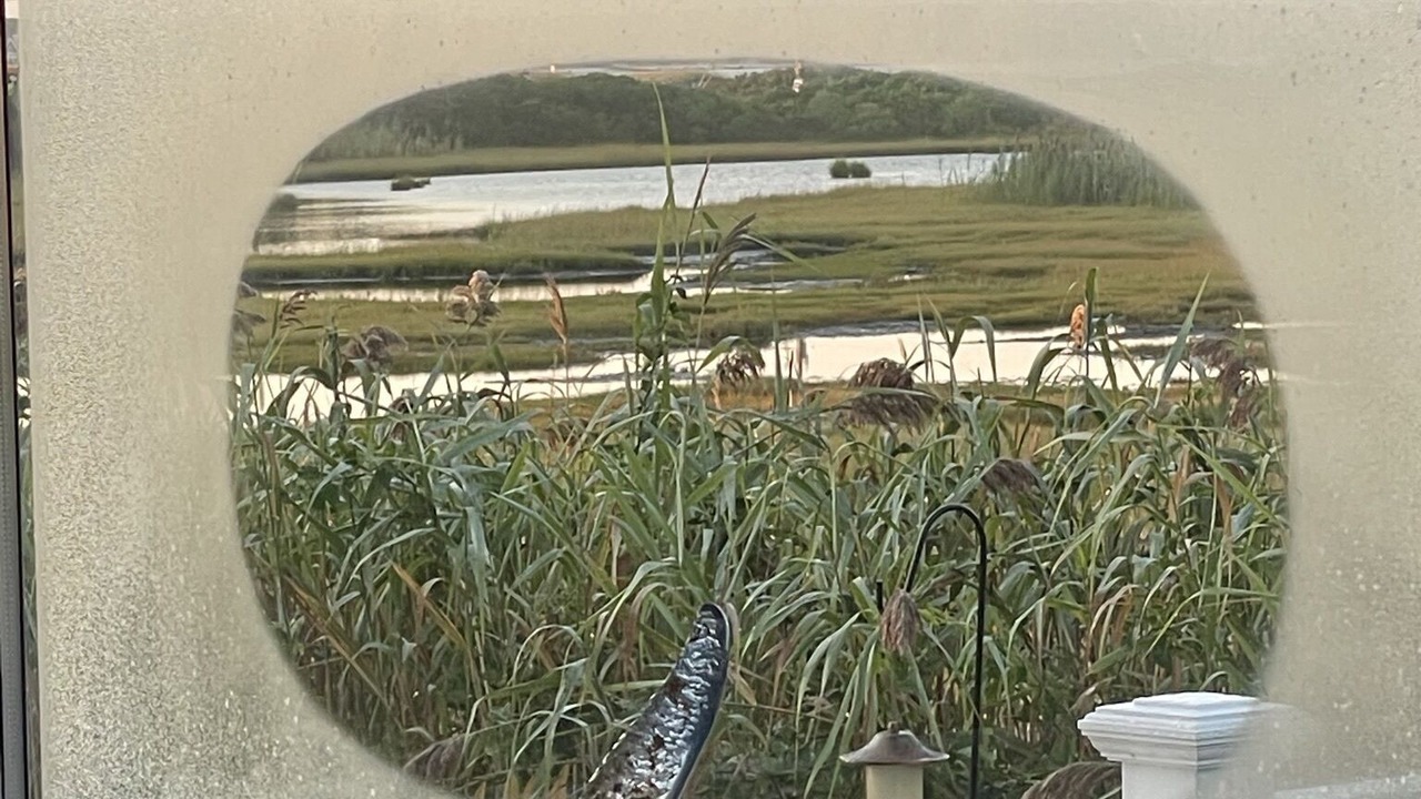 Photo of Others in Hyannis