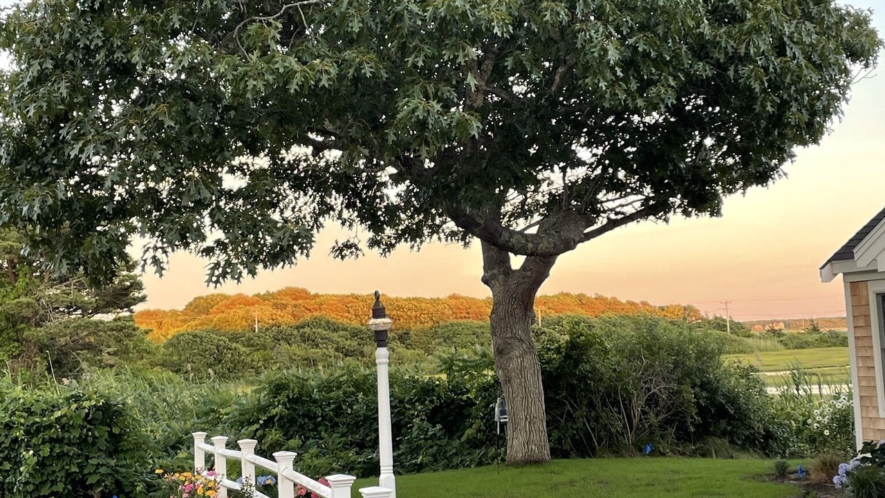 Photo of Others in Hyannis