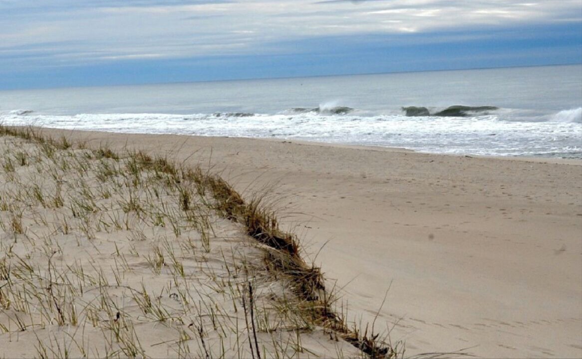 Photo of Others in Amagansett North