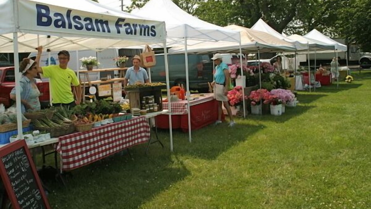 Photo of Others in Amagansett North