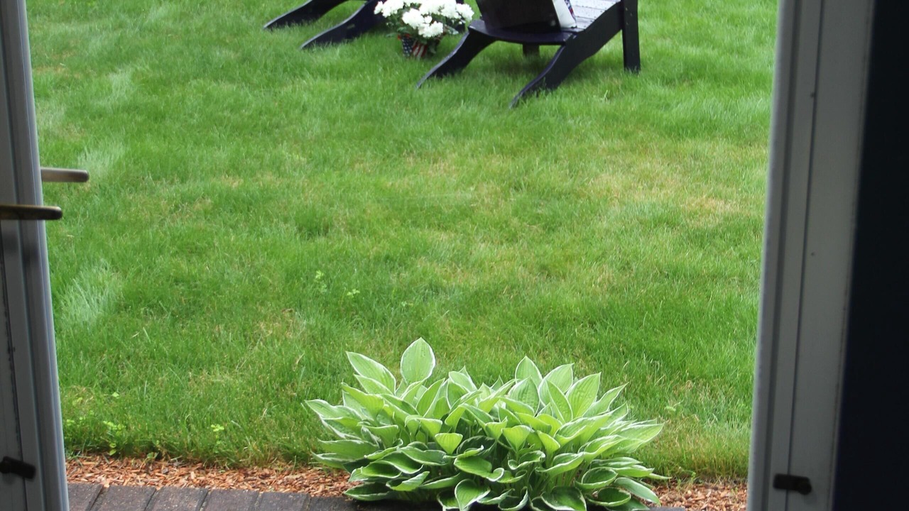 Photo of Outdoor in Marstons Mills