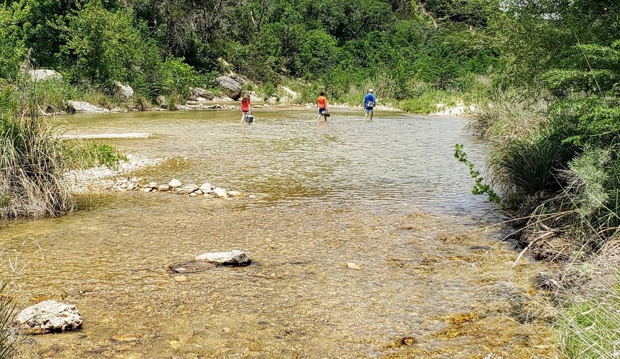 Photo of Others in Leakey