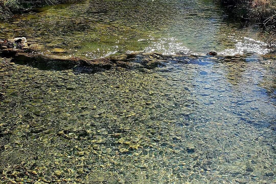 Photo of Others in Leakey