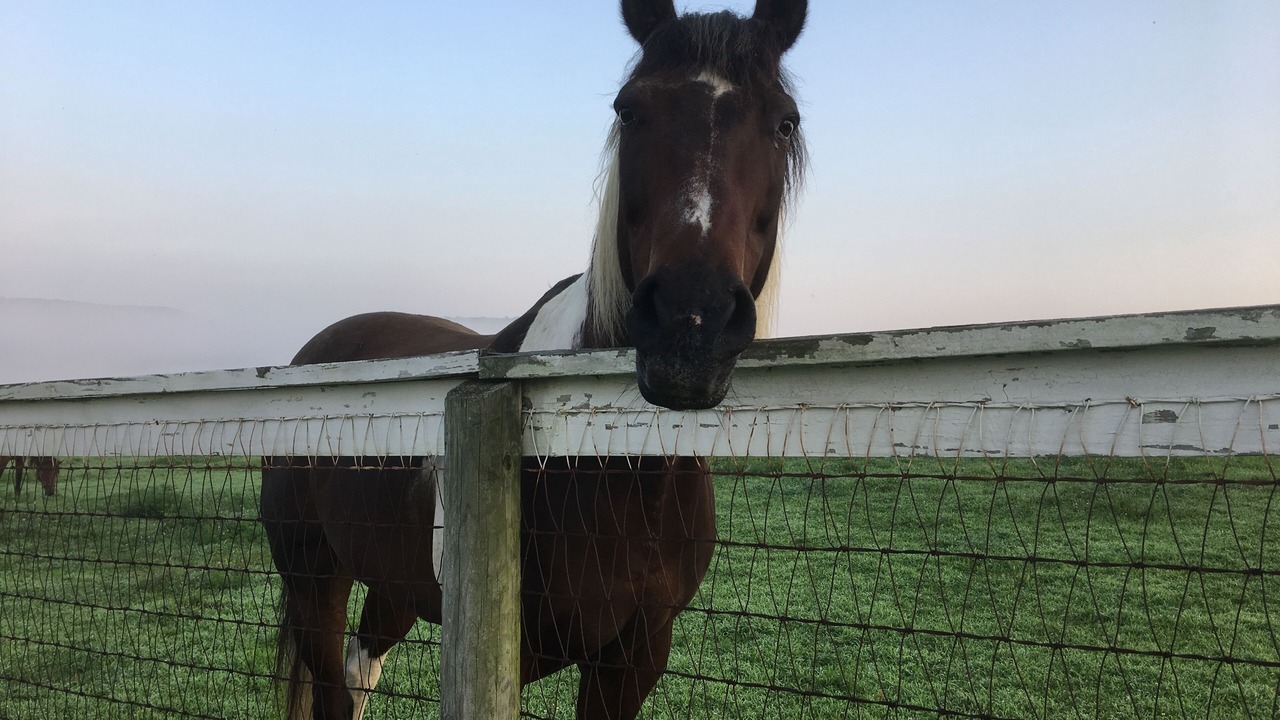 Photo of Others in Amenia