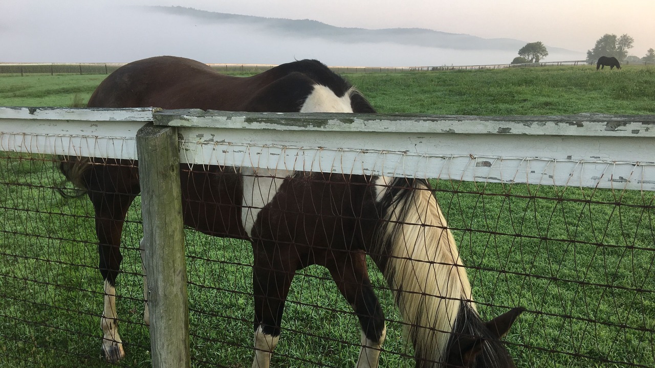 Photo of Others in Amenia