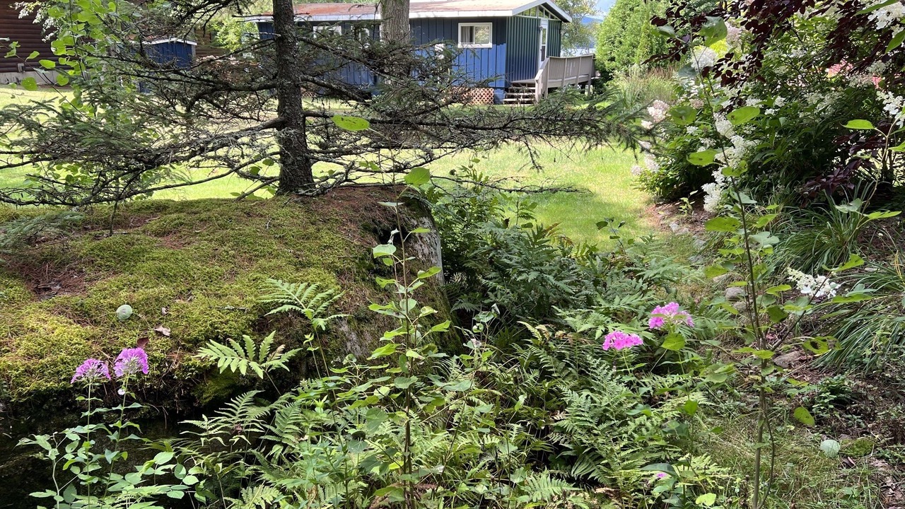 Photo of Outdoor in Lyon Mountain