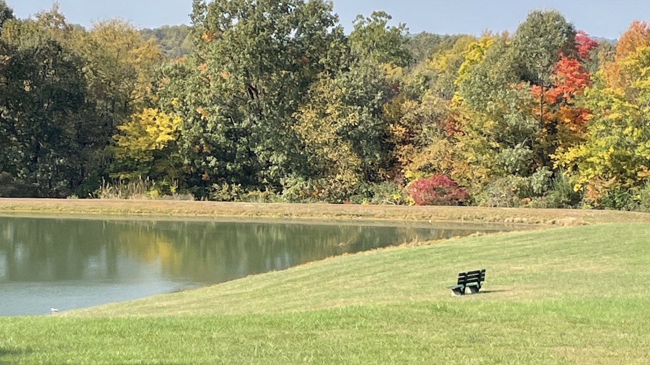Photo of Outdoor in Perks