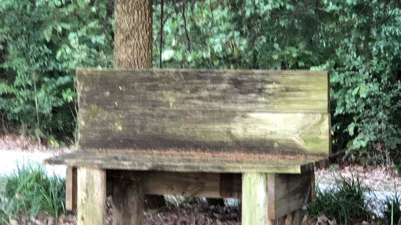 Photo of Outdoor in Perks