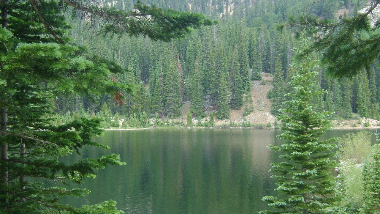 Photo of Outdoor in Garfield