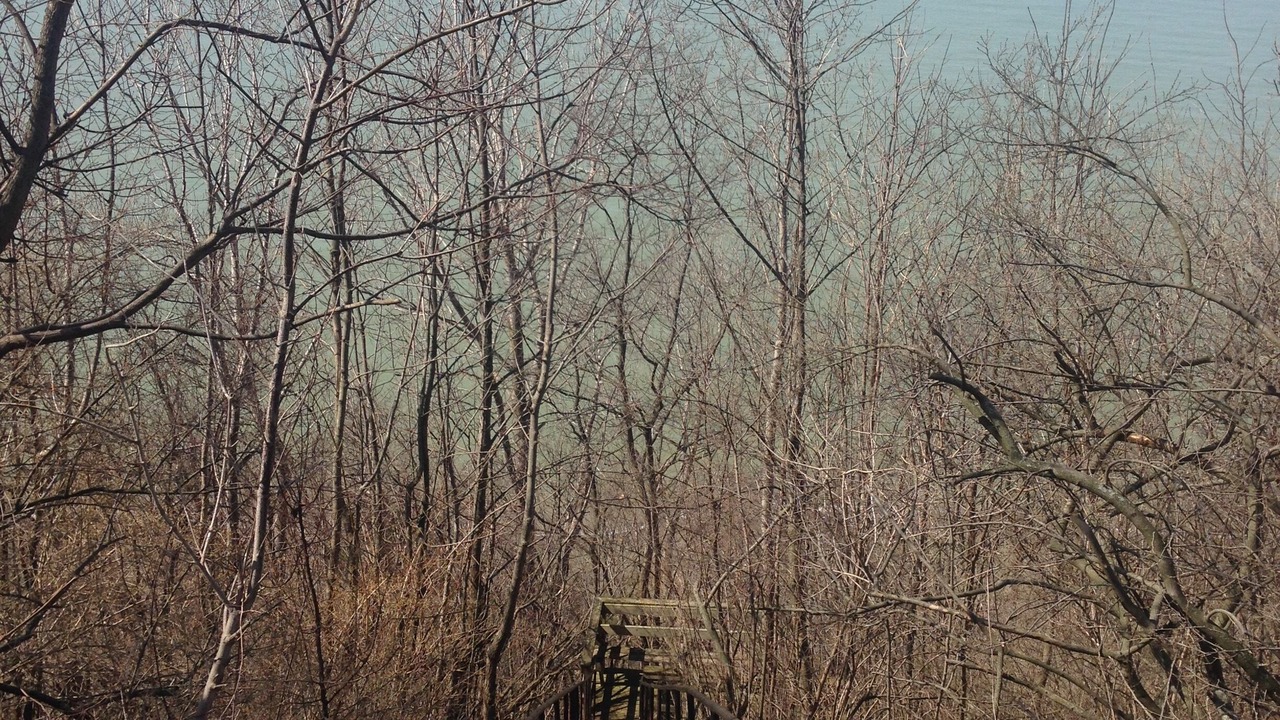 Photo of Others in Riverside