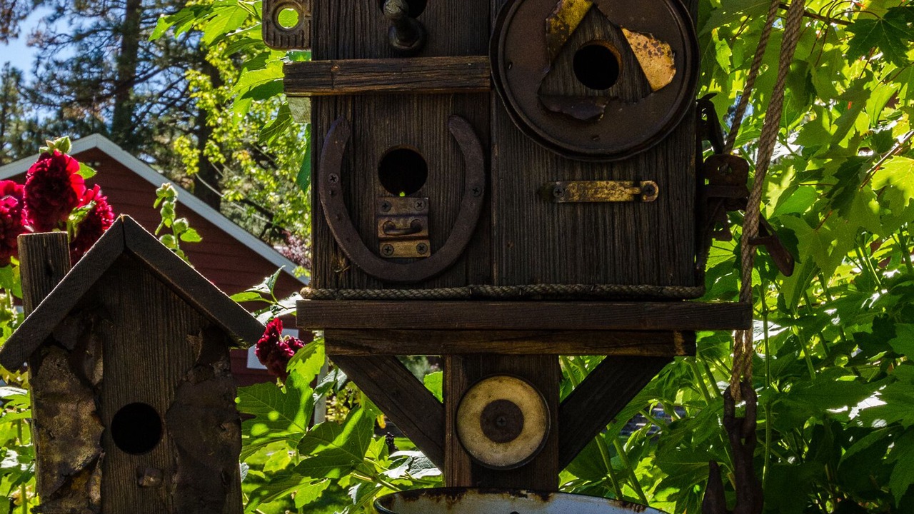 Photo of Others in Fox Farm