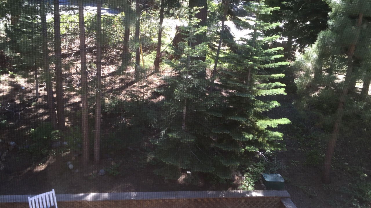 Photo of Others in Comstock Acres