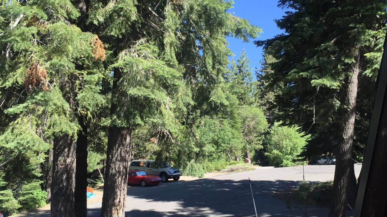 Photo of Outdoor in Comstock Acres