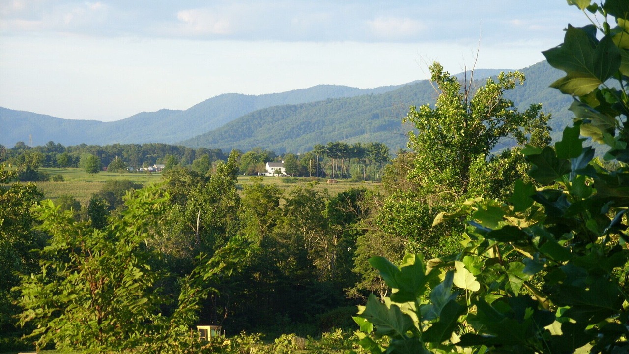 Photo of Others in Montvale