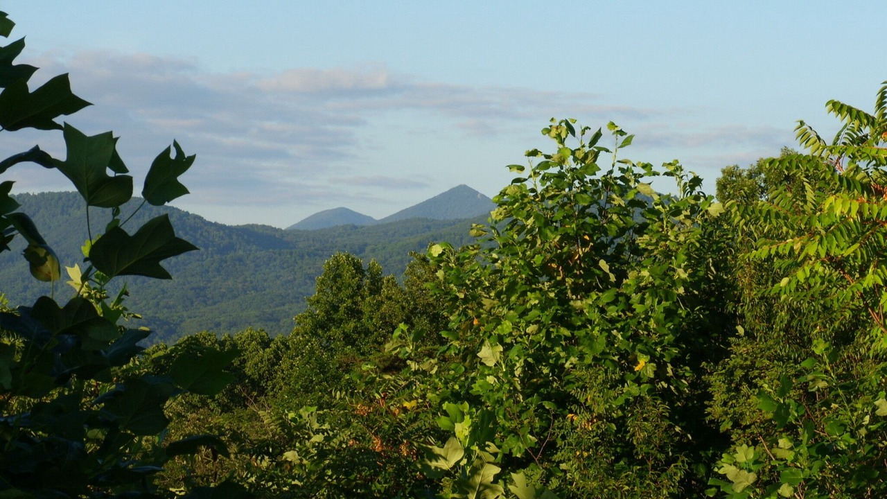 Photo of Others in Montvale