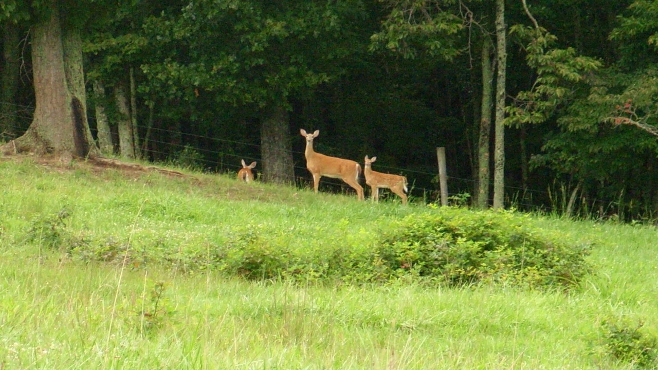 Photo of Others in Montvale