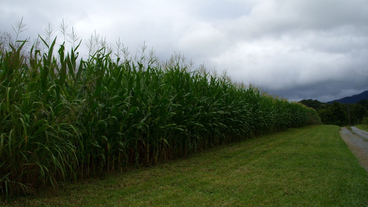 Photo of Others in Montvale