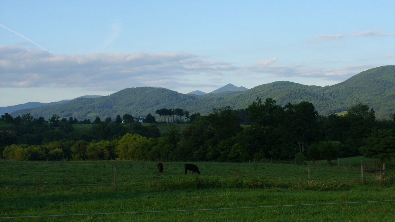 Photo of Others in Montvale