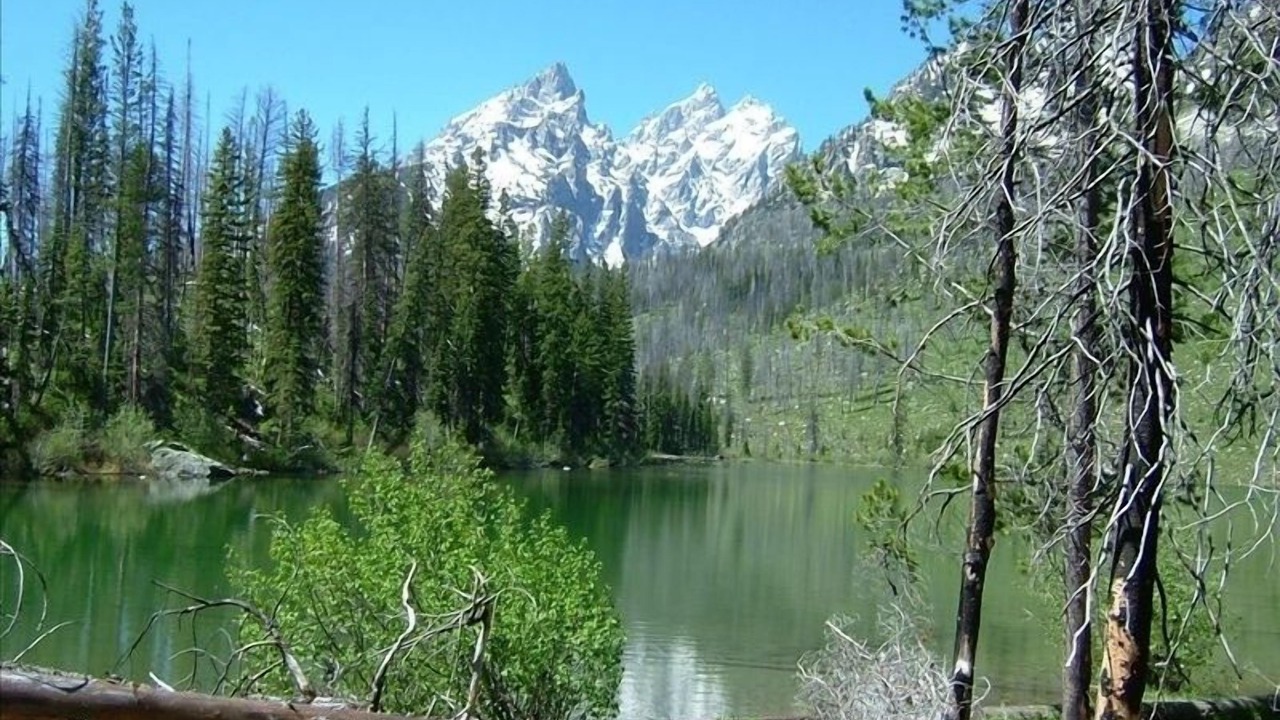 Photo of Outdoor in Moose Wilson Road