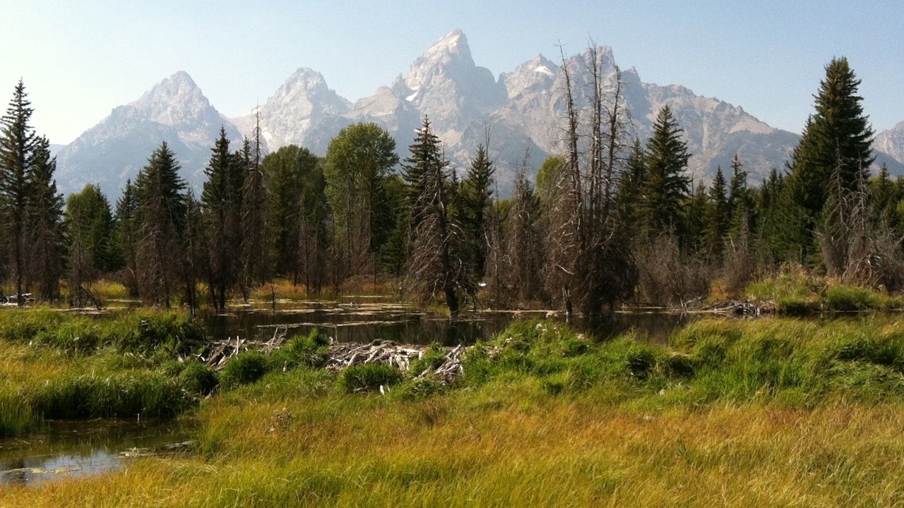 Photo of Others in Moose Wilson Road