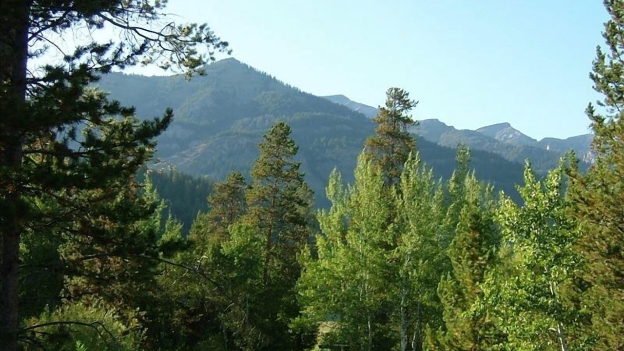 Photo of Patio Balcony in Moose Wilson Road
