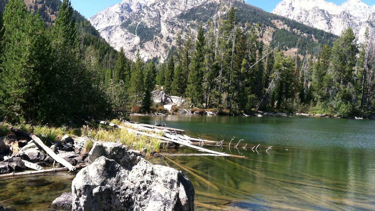 Photo of Outdoor in Moose Wilson Road