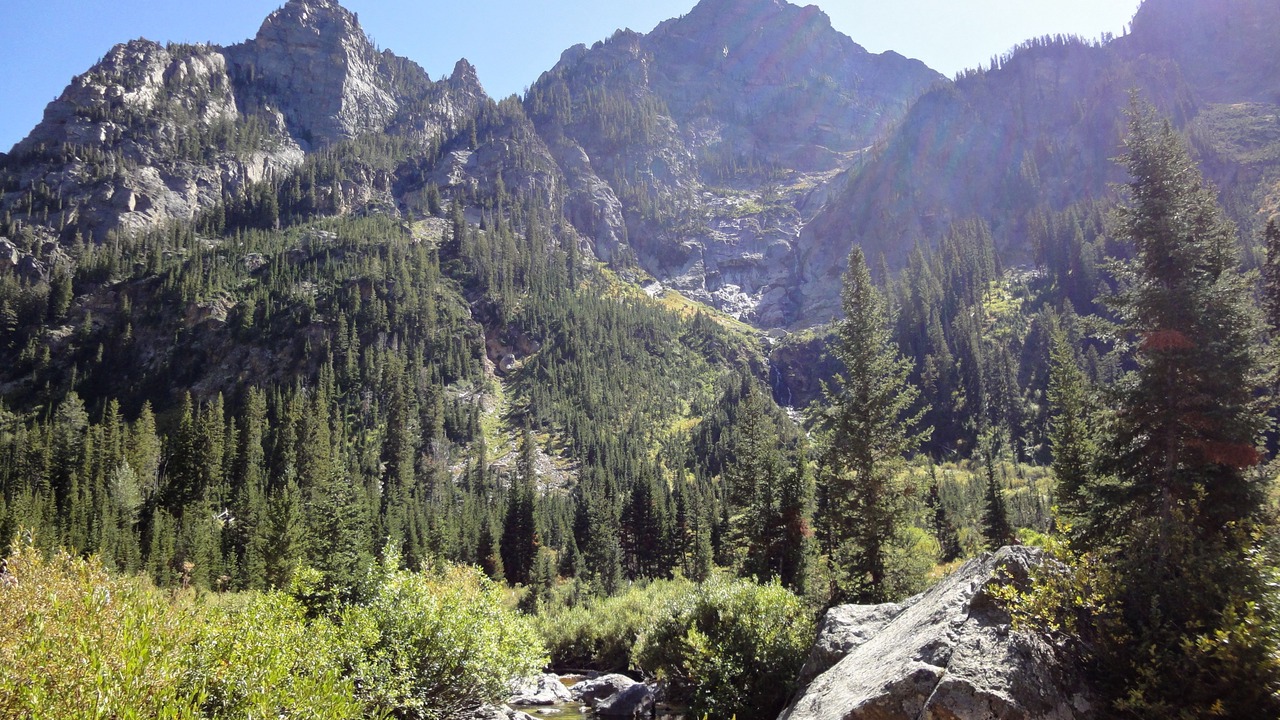 Photo of Others in Moose Wilson Road