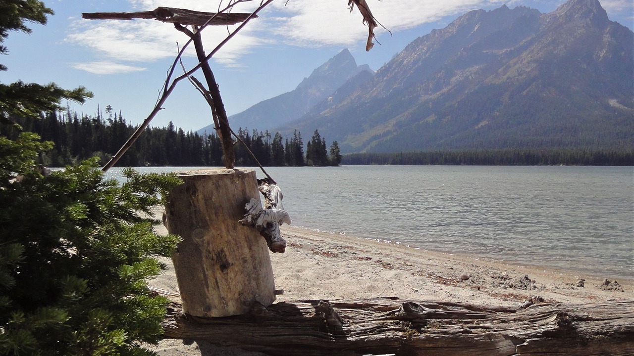 Photo of Outdoor in Moose Wilson Road